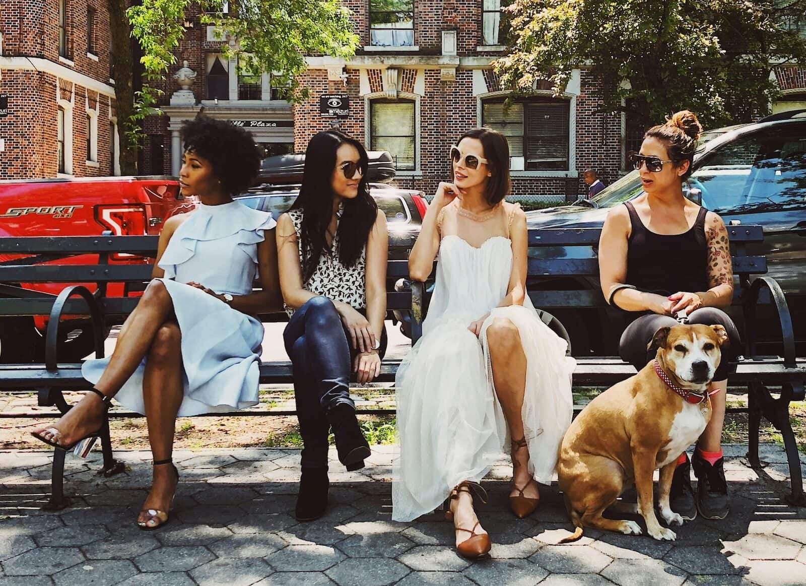 Four ladies and a dog sit on a bench. The is the image chosen for the article '12 Steps to Find Your Ideal Customer or Client'